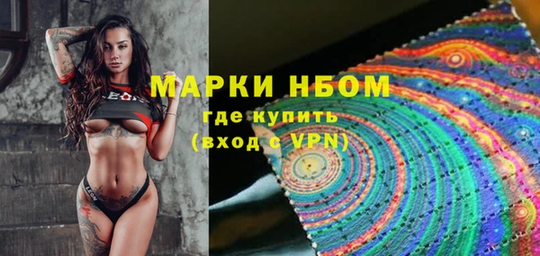 стаф Балахна