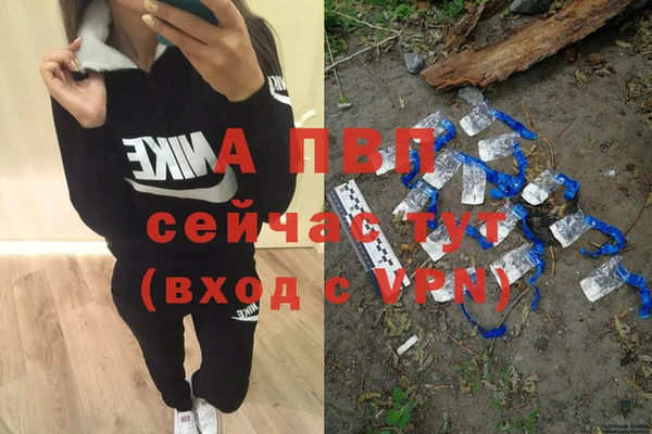 стаф Балахна