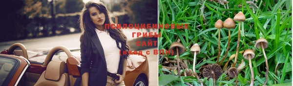 стаф Балахна