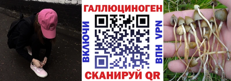 Галлюциногенные грибы MAGIC MUSHROOMS  Малмыж 
